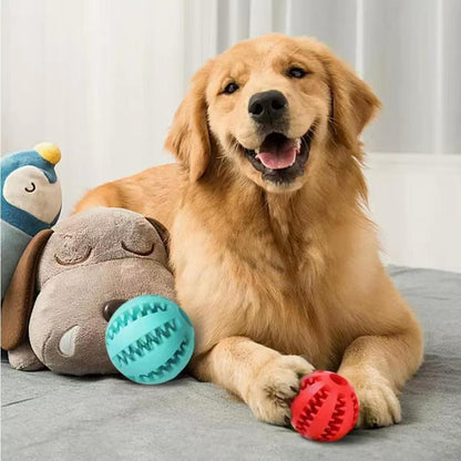 Tug-of-War Ball Toy with Molar Cleaning Technology