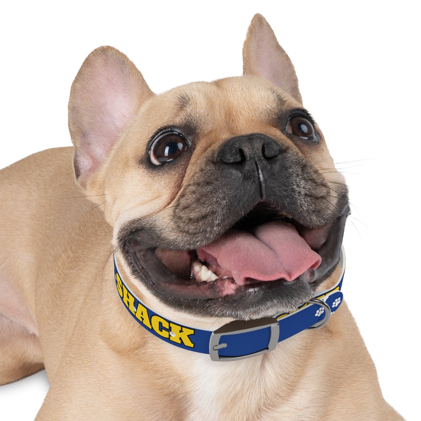 "Whisker Shack" Branded Dog Collar