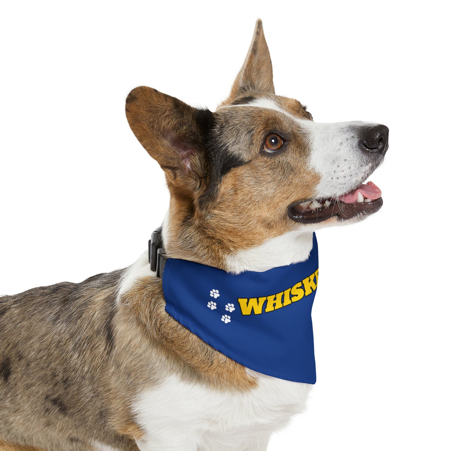 Whisker Shack Branded Pet Bandana Collar