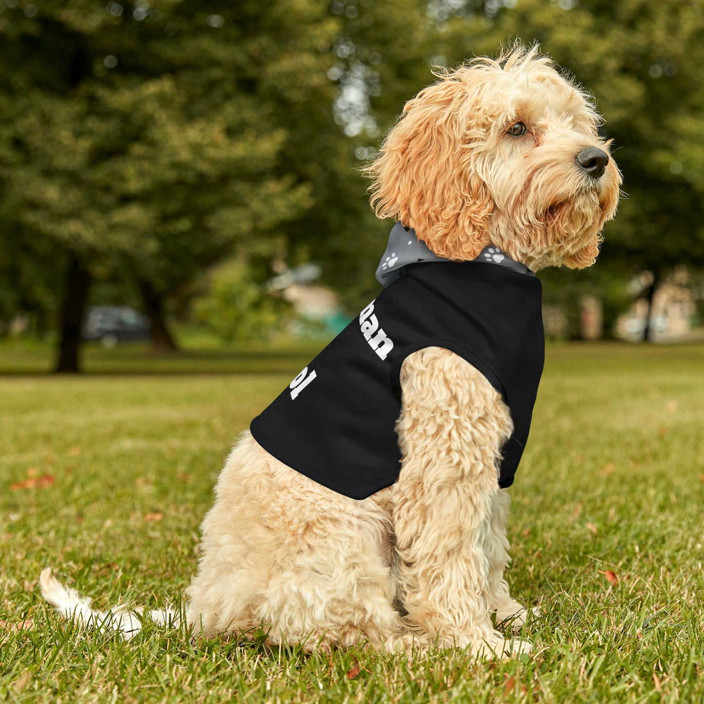 "Wingman on Patrol" on a Pet Hoodie