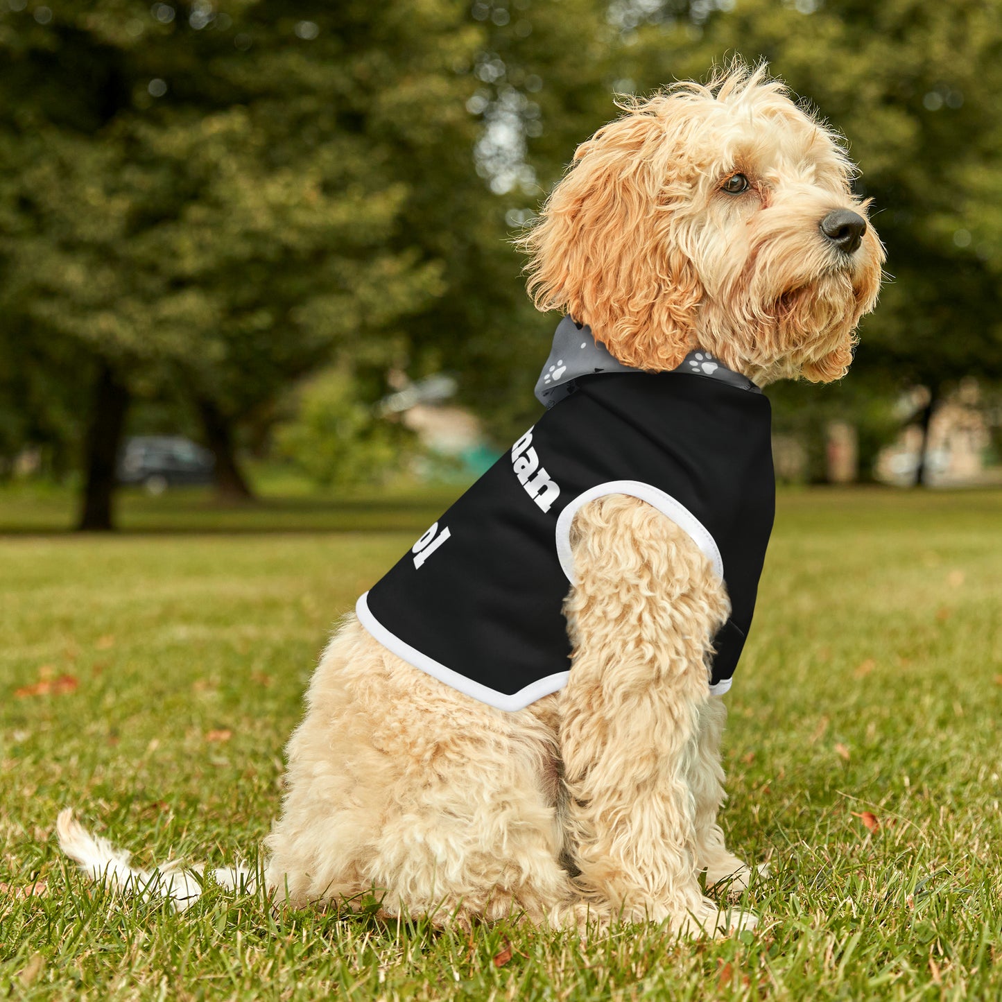 "Wingman on Patrol" on a Pet Hoodie