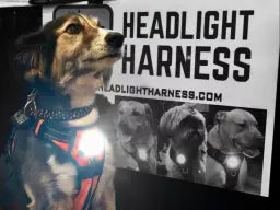 Whisker Shack Headlight Harness: Reflective LED Dog Harness - American Made, No Pull, Water Resistant