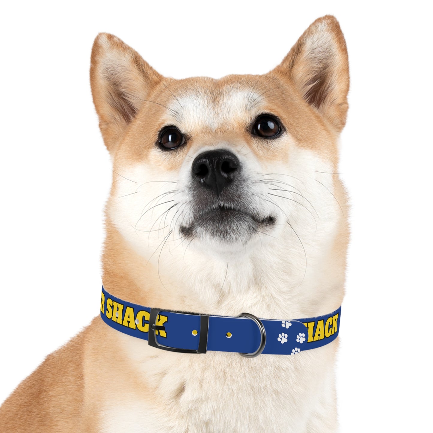 "Whisker Shack" Branded Dog Collar