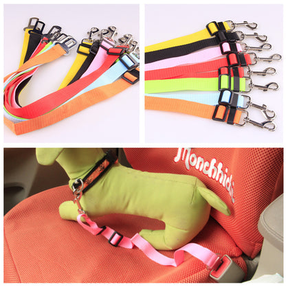 DriveSafe Pet Seat Belt Leash