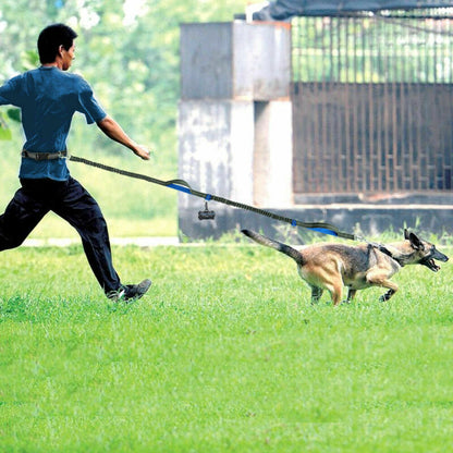 Reflective Dual Handle Elastic Dog Leash for Running - WhiskerShack.com