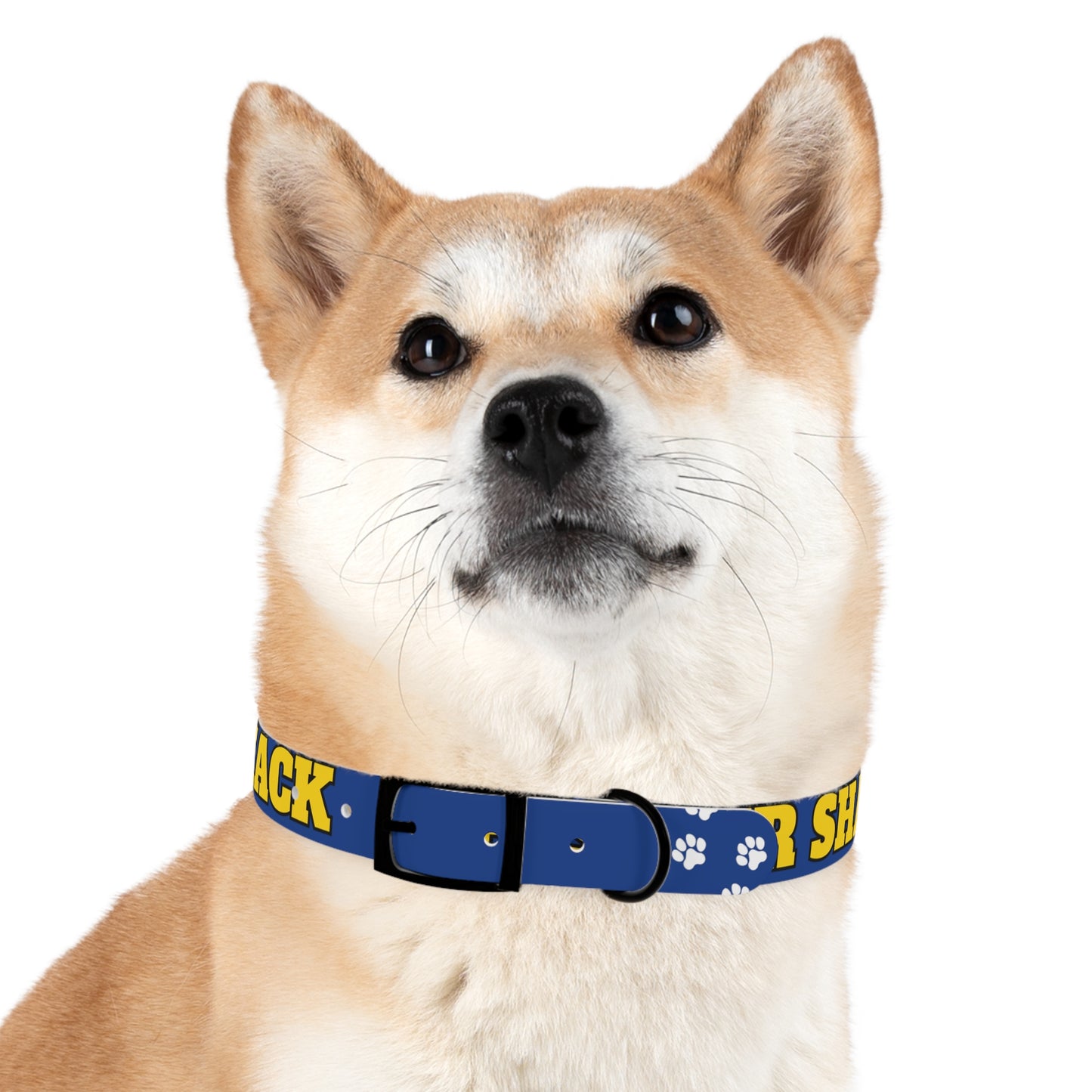 "Whisker Shack" Branded Dog Collar