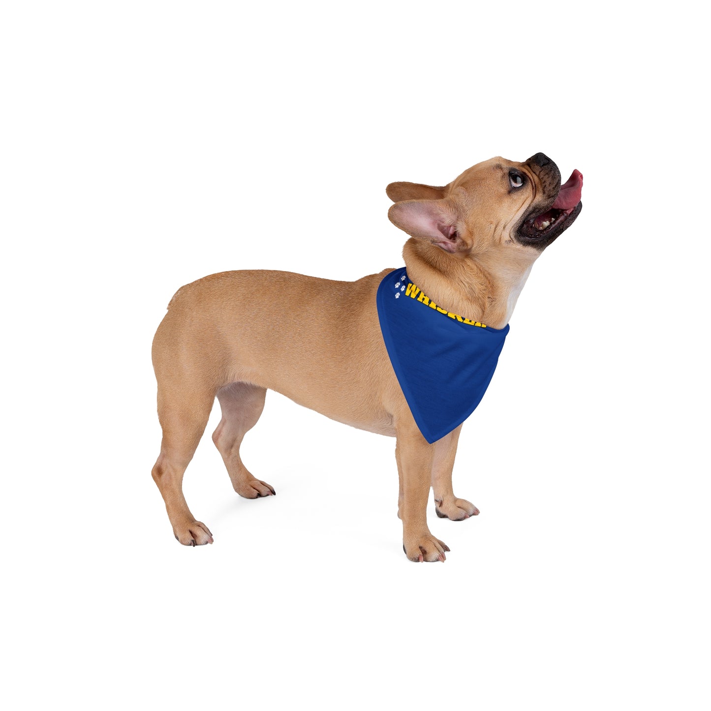 Whisker Shack Branded Pet Bandana