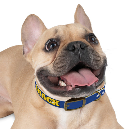 "Whisker Shack" Branded Dog Collar