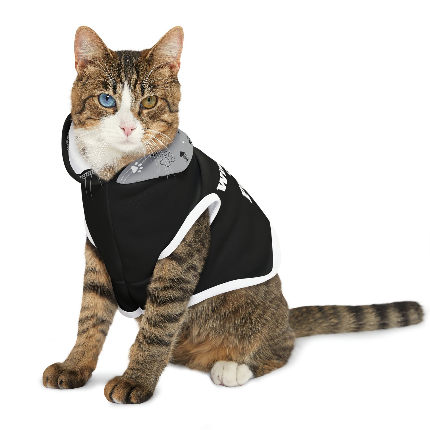 "Wingman on Patrol" on a Pet Hoodie