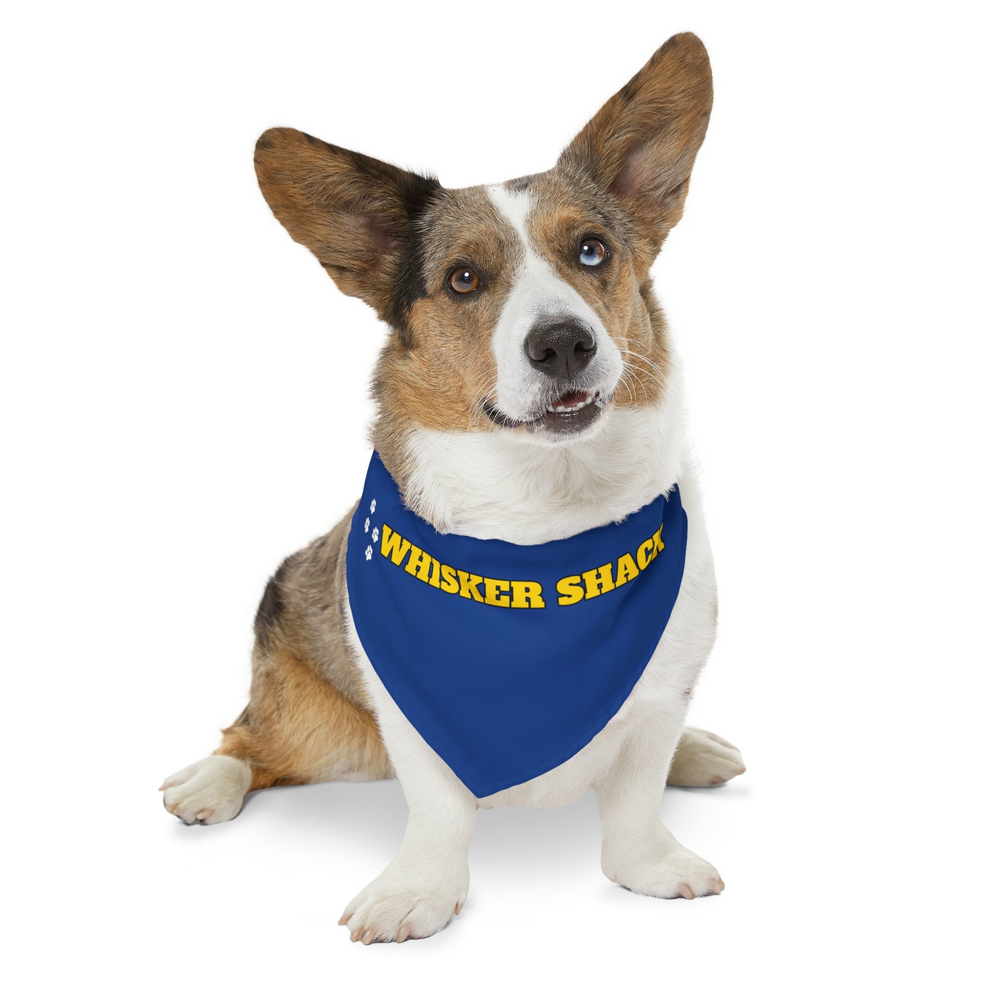 Whisker Shack Branded Pet Bandana Collar