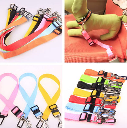 DriveSafe Pet Seat Belt Leash