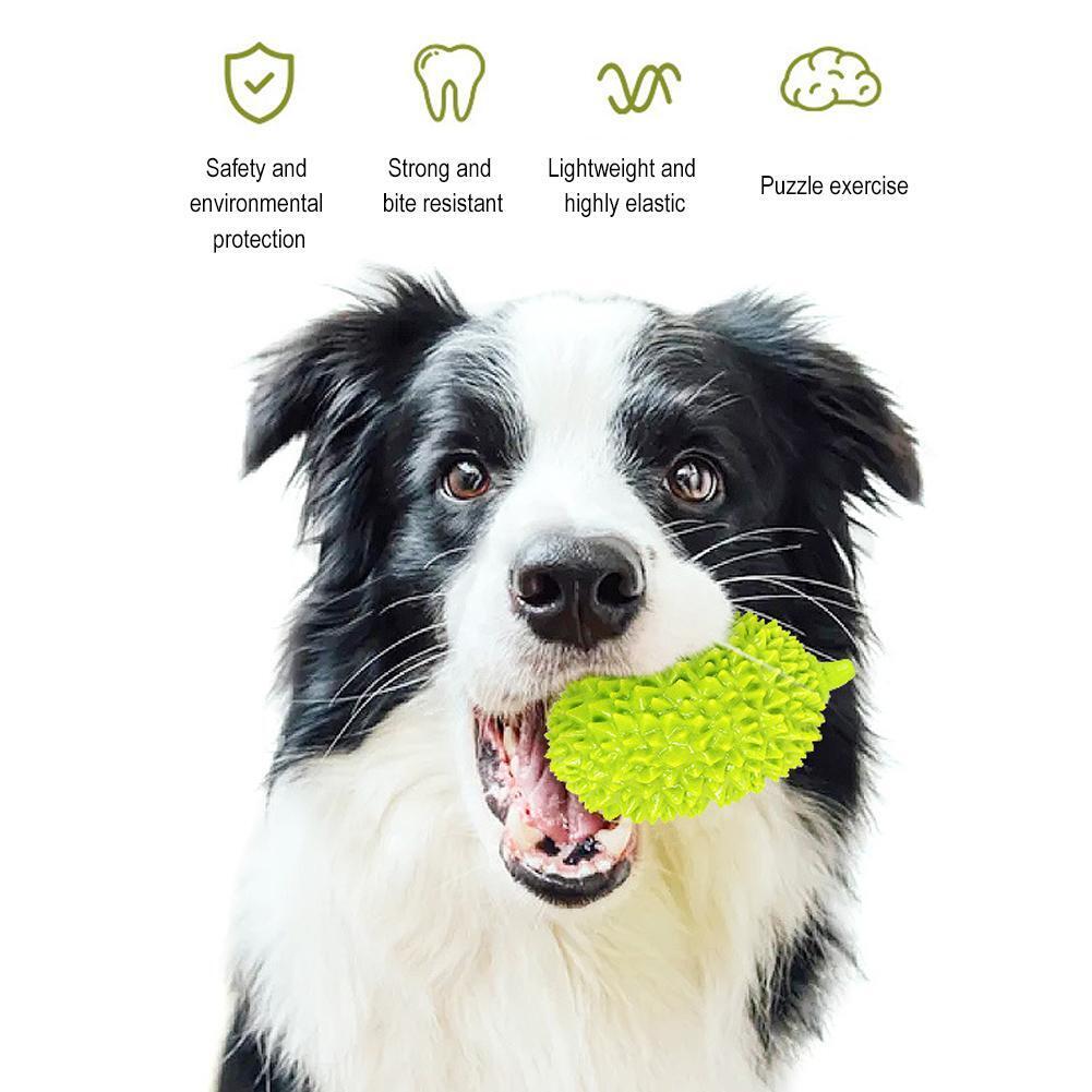 Squeaking Chew Toy with Natural Molar Cleaning Technology for Dogs